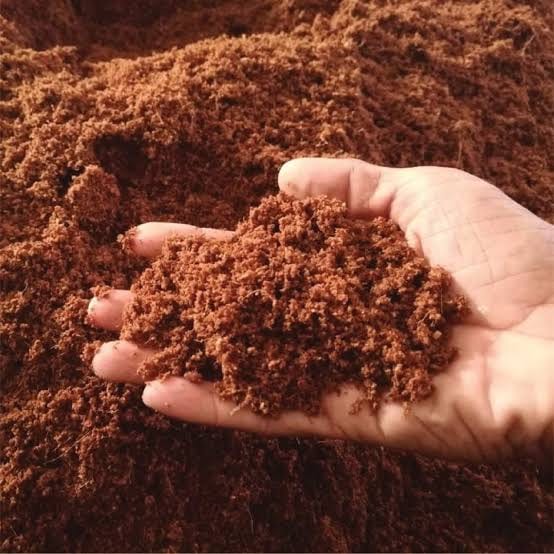 A hand lifting reddish-brown cocopeat from a pile