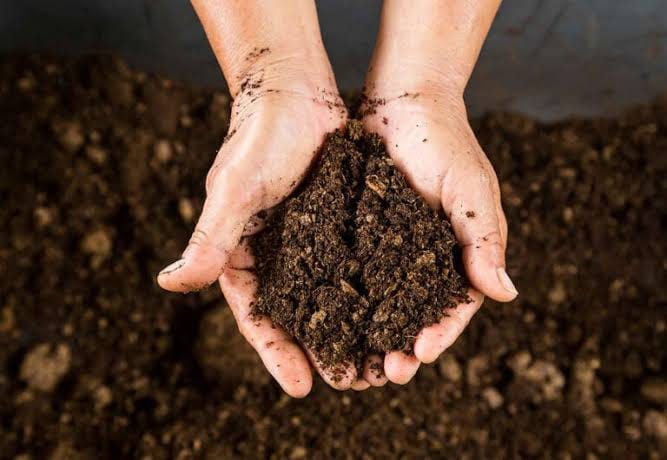 Two hands holding dark crumbly compost